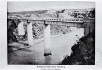 Combined road and rail Waimakariri Gorge Bridge 