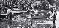 Clearing weed from the Avon River by wading and by punt, Christchurch