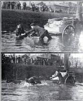 A horse bogged in the Avon River, Christchurch
