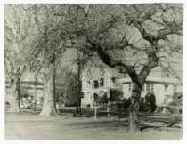 Warwick House from Cranmer Square Photo