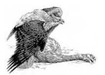 Harpagornis