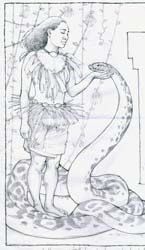 illustration