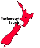 Return to NZ Children’s Authors Interviews index
