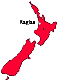 Return to NZ Children’s Authors index