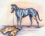 Trousers dog