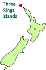 Three Kings Islands