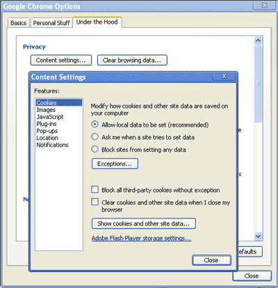 Chrome 6 options