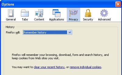 FireFox 3 Privacy screen
