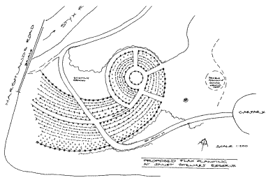 Planting Plan
