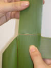 Making a putiputi