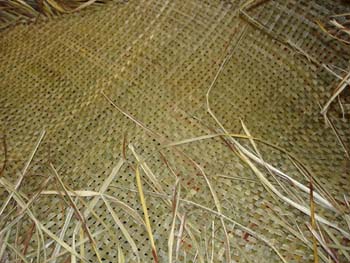 Weaving at the Central Library 23 June 2005
