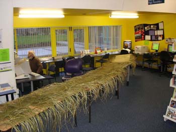 The whariki at