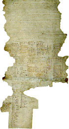 The Treaty of Waitangi