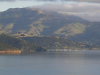 Iringa Paraoa