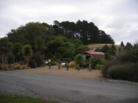 Motukarara