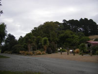 Motukarara