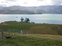 Opukutahi Reserve