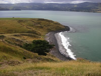 Opukutahi Reserve