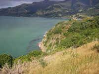 Opukutahi Reserve