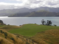 Opukutahi Reserve