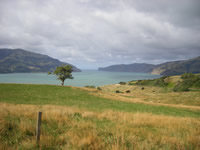 Opukutahi