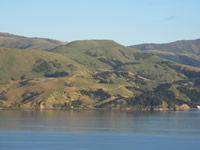 Opukutahi