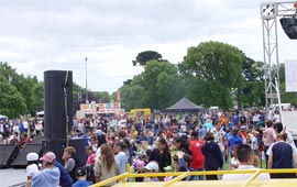 Crowds at Mana in the Park.