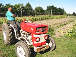 Norm Dewes in the vegetable garden at Tuahiwi