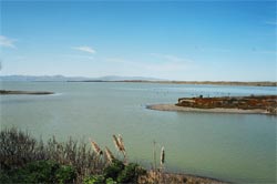 Te Waihora, Kaitorete Spit and Horomaka viewed from Fishermans Point, Taumutu.