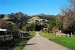 Oteauheke. The Maunga of Ōnuku Marae