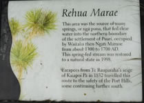 Puna plaque