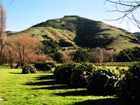 Te Ūpoko o Tahumatā from the Wairewa Marae grounds.