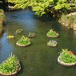 River garden