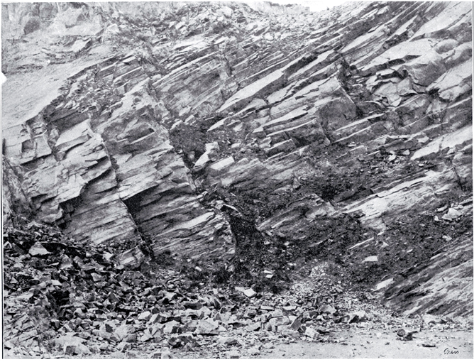 Cliff face at Halswell Quarry Cliff face at Halswell Quarry