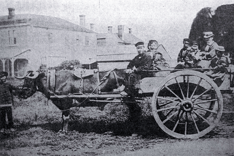 The Stanley family in their bullock cart in Cathedral Square, Christchurch The Stanley family in their bullock cart in Cathedral Square, Christchurch