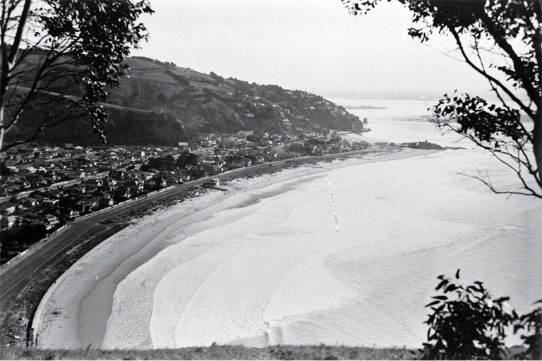 Sumner beach from Scarborough Hill with Cave and Shag Rocks in the distance Sumner beach from Scarborough Hill with Cave and Shag Rocks in the distance