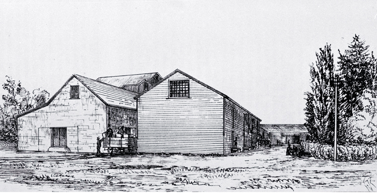 C. W. Turner's Canterbury Flour Mills, 234 Cashel Street, Christchurch C. W. Turner's Canterbury Flour Mills, 234 Cashel Street, Christchurch