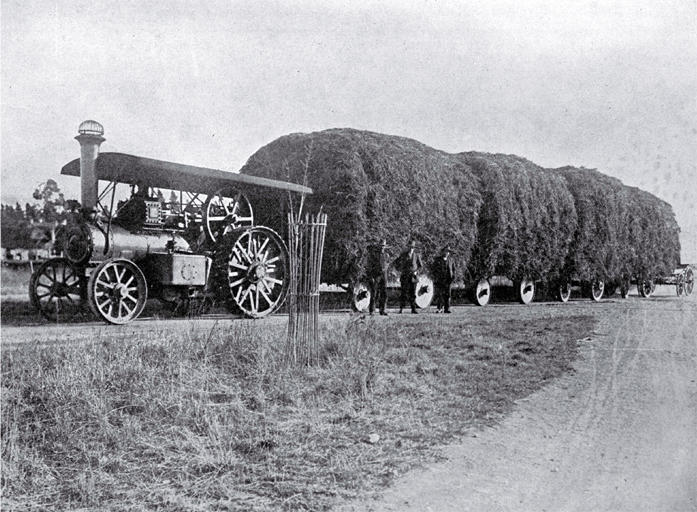 Mr E. G. Church's traction engine hauling 15 tons of clover from Greenstreet to A.E. Small's dairy farm at Wakanui, Ashburton Mr E. G. Church's traction engine hauling 15 tons of clover from Greenstreet to A.E. Small's dairy farm at Wakanui, Ashburton