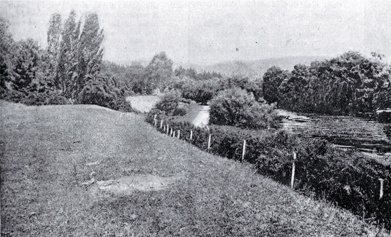 On the river road by the Heathcote River, Opawa, Christchurch On the river road by the Heathcote River, Opawa, Christchurch