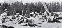 Sunbathing at New Brighton beach, Christchurch