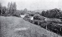 On the river road by the Heathcote River, Opawa, Christchurch