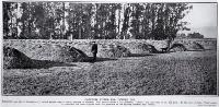 Potatoes on a farm near Lincoln, Canterbury, pitted for use later in the year