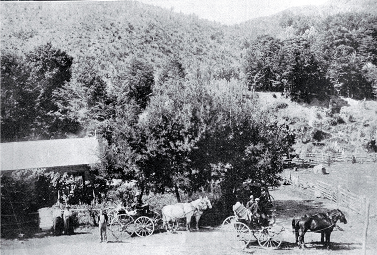 Half-way house, Cheviot-Kaikoura road : a coach party stop for lunch and a change of horses. Half-way house, Cheviot-Kaikoura road : a coach party stop for lunch and a change of horses.