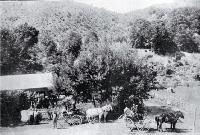 Half-way house, Cheviot-Kaikoura road : a coach party stop for lunch and a change of horses.