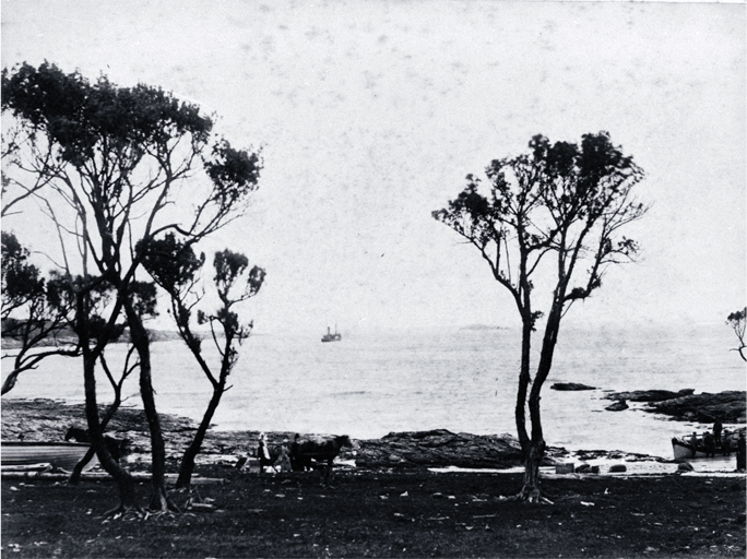A steamer in Kaingaroa harbour, Chatham Islands : a horse and gig waits near the landing where a small boat is pulling in. A steamer in Kaingaroa harbour, Chatham Islands : a horse and gig waits near the landing where a small boat is pulling in.