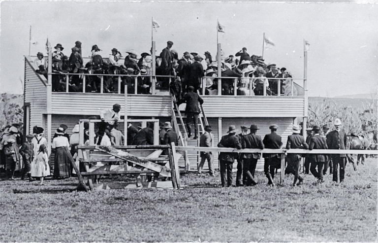 The grandstand on race day between Waitangi and Te One The grandstand on race day between Waitangi and Te One