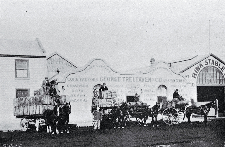 Messrs George Treleaven & Co., produce merchants, Armagh Street, Christchurch Messrs George Treleaven & Co., produce merchants, Armagh Street, Christchurch
