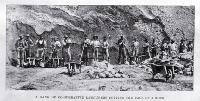 A gang of co-operative labourers