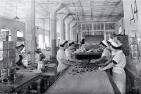 Many girls in mass-production factories work on moving belts