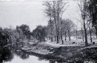 The Avon, Christchurch